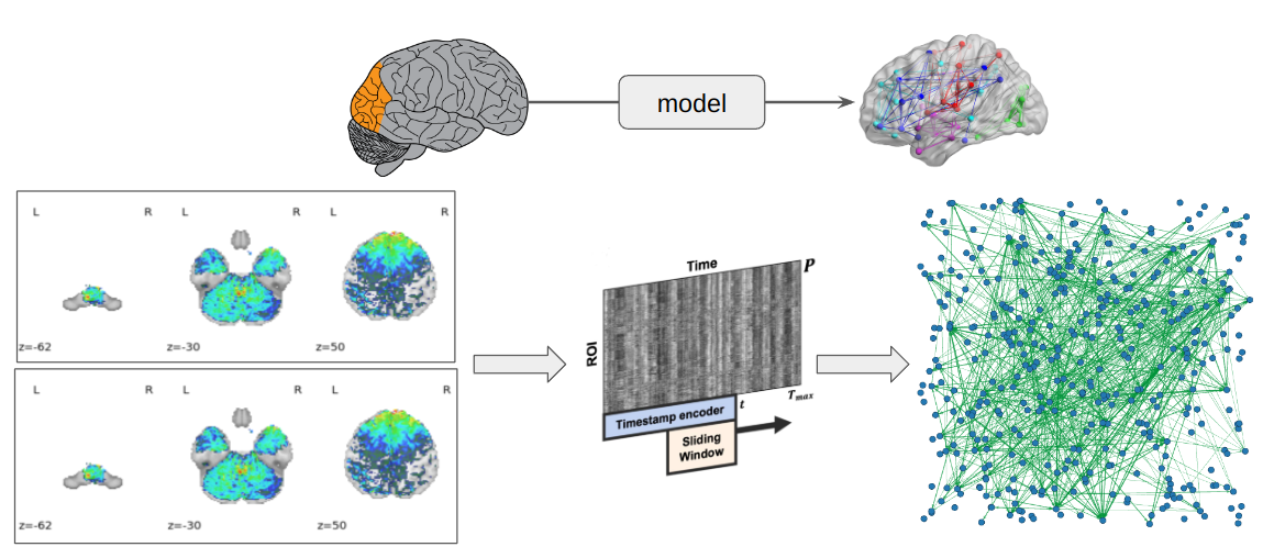 Dynamic Brain Connectome Learning